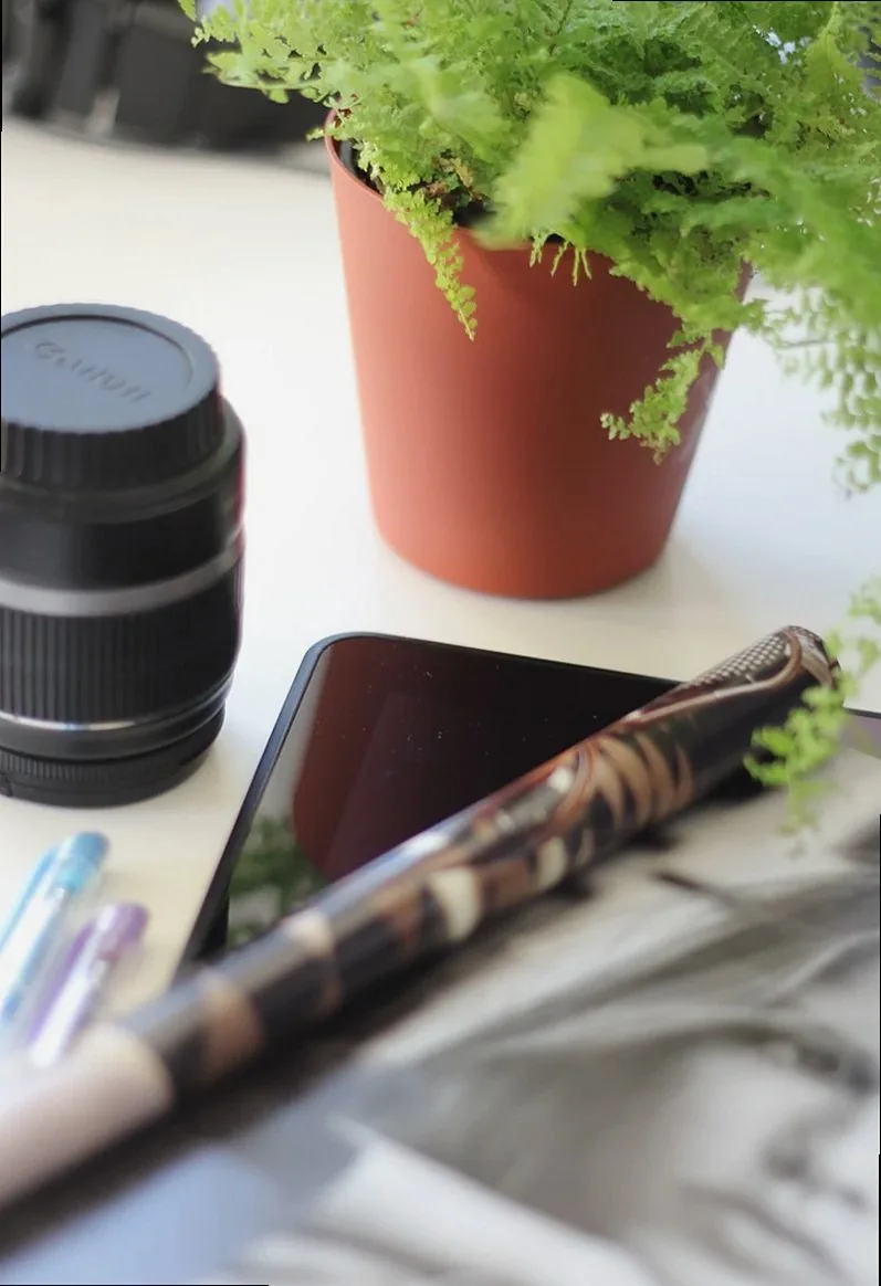 camera, nature, lens, magazine, pen, mobile, phone, work, desk, table, business, office, interior, plant, green